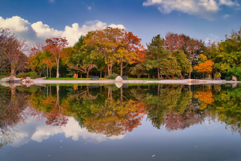 a lake that is in the middle of some trees