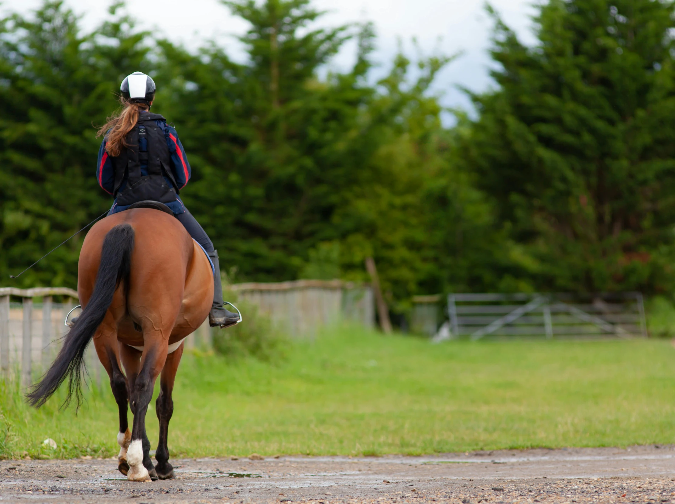 a woman in blue jacket and hat riding on top of a brown horse