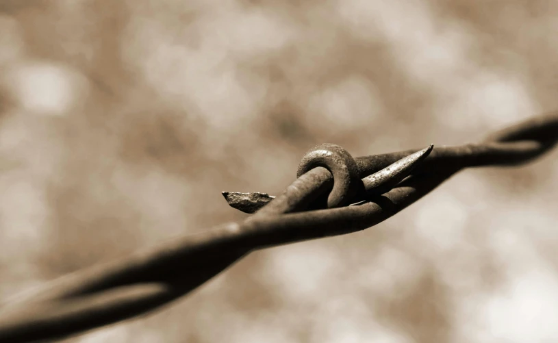 a close up of a pair of hands holding barbed wire