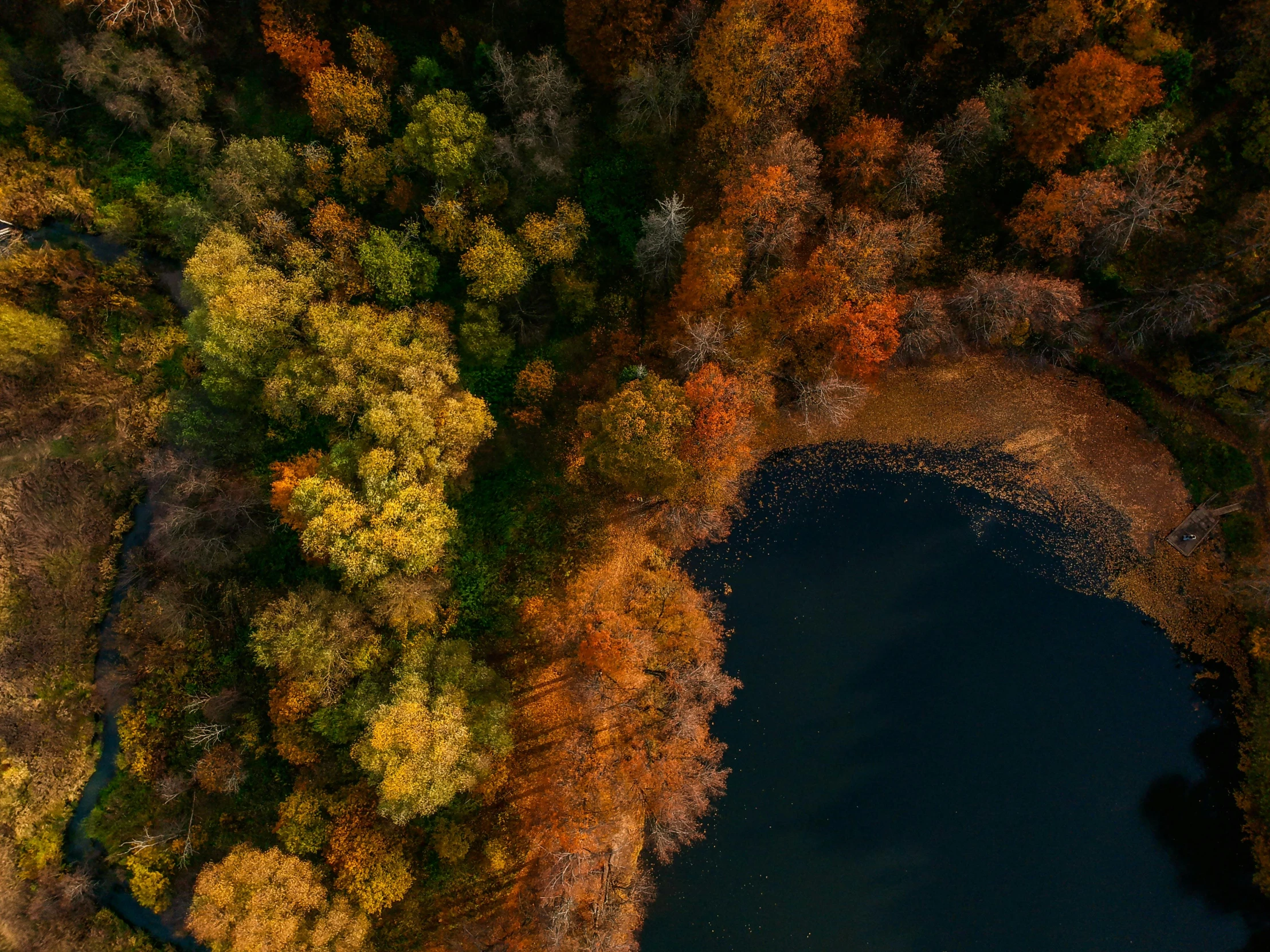 this is a scenic view from the air of an expansive park with trees