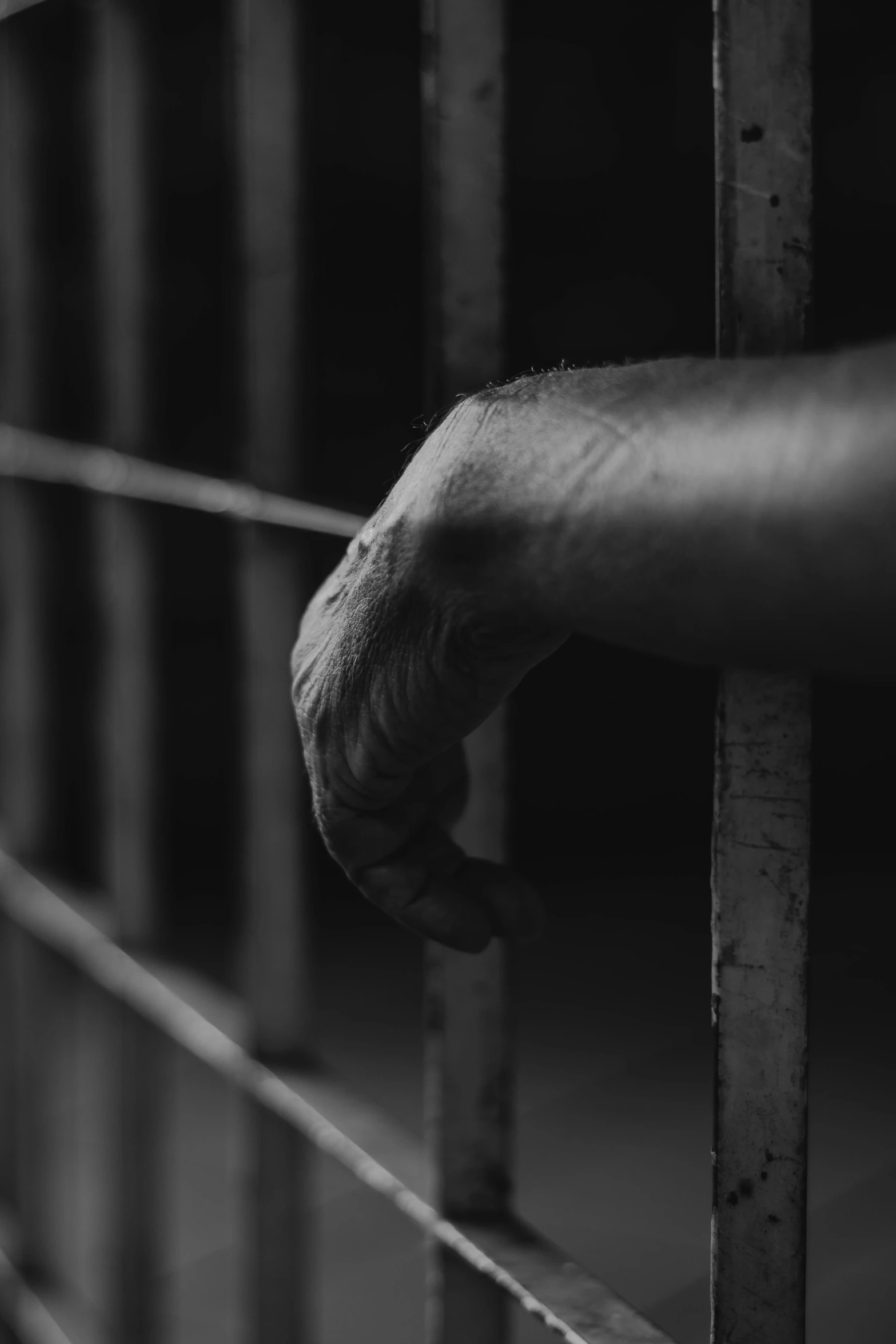 a hand reaching through a metal rail into a  cell