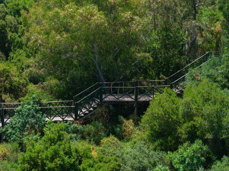 a bridge leads to a small area that is surrounded by trees