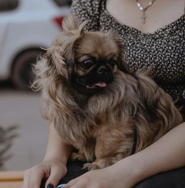 a woman sitting on top of a table holding a dog