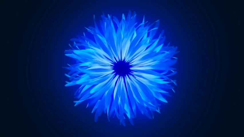 an image of blue flower that is in the middle of a dark background