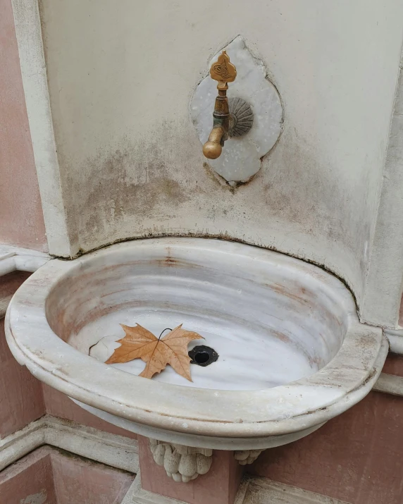 a leaf sits on the rim of a fountain