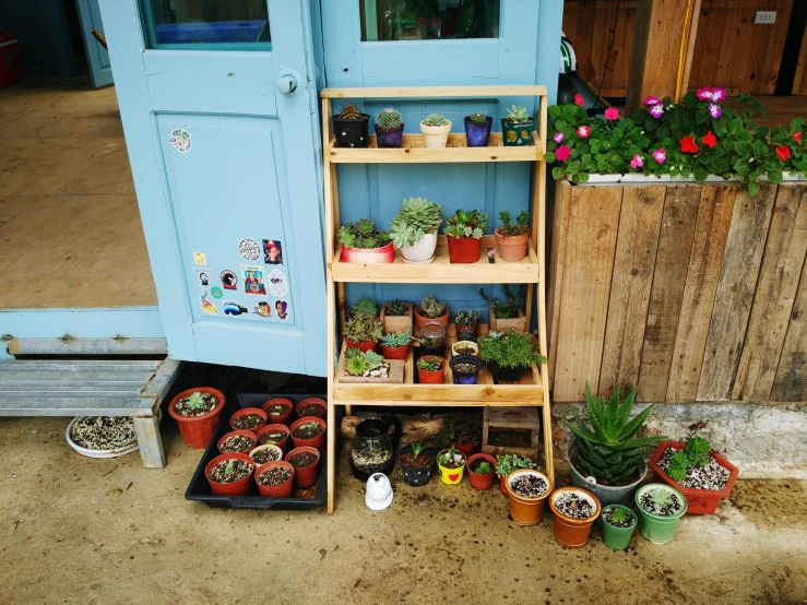 a couple of shelves full of plants next to some potted plants