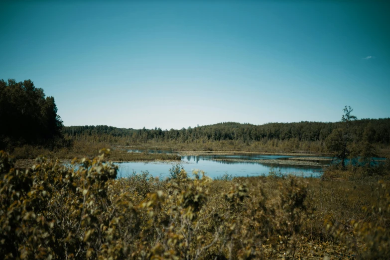 a wide view of a river and forested area