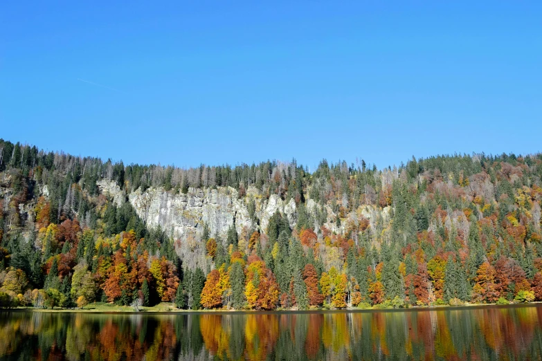 the trees are changing colors by the water