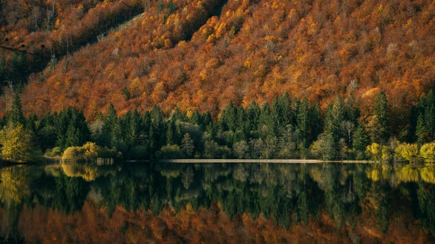 a mountain with trees all over it in fall