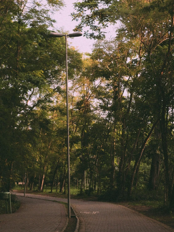 a street light on the side of a road