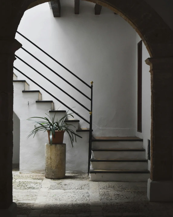 potted plant next to stairs with railing above it