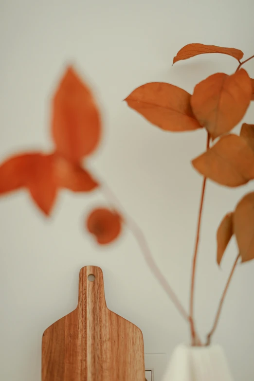 two red and orange leaves hanging from a hook