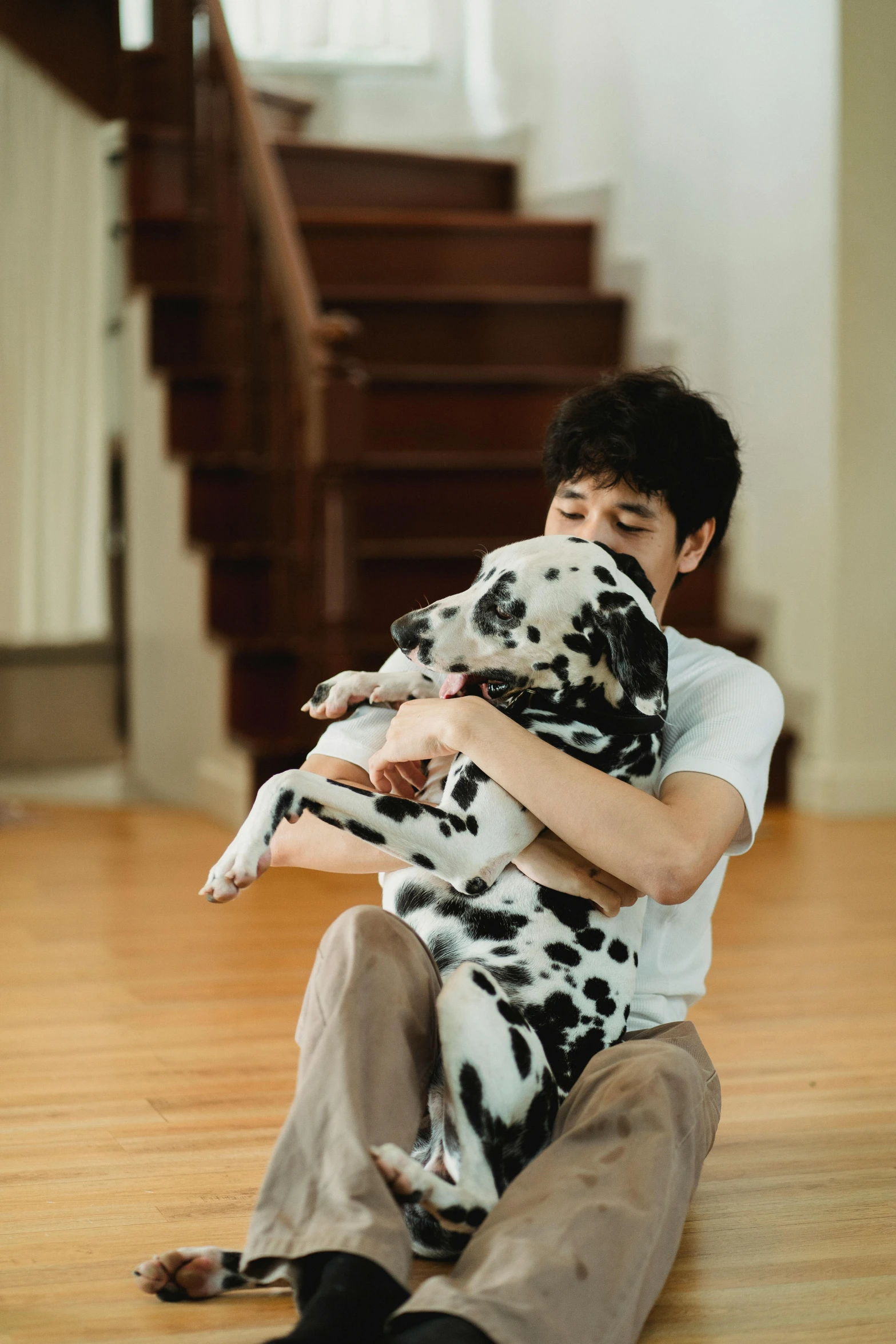 the boy is holding a dog wrapped in cow print