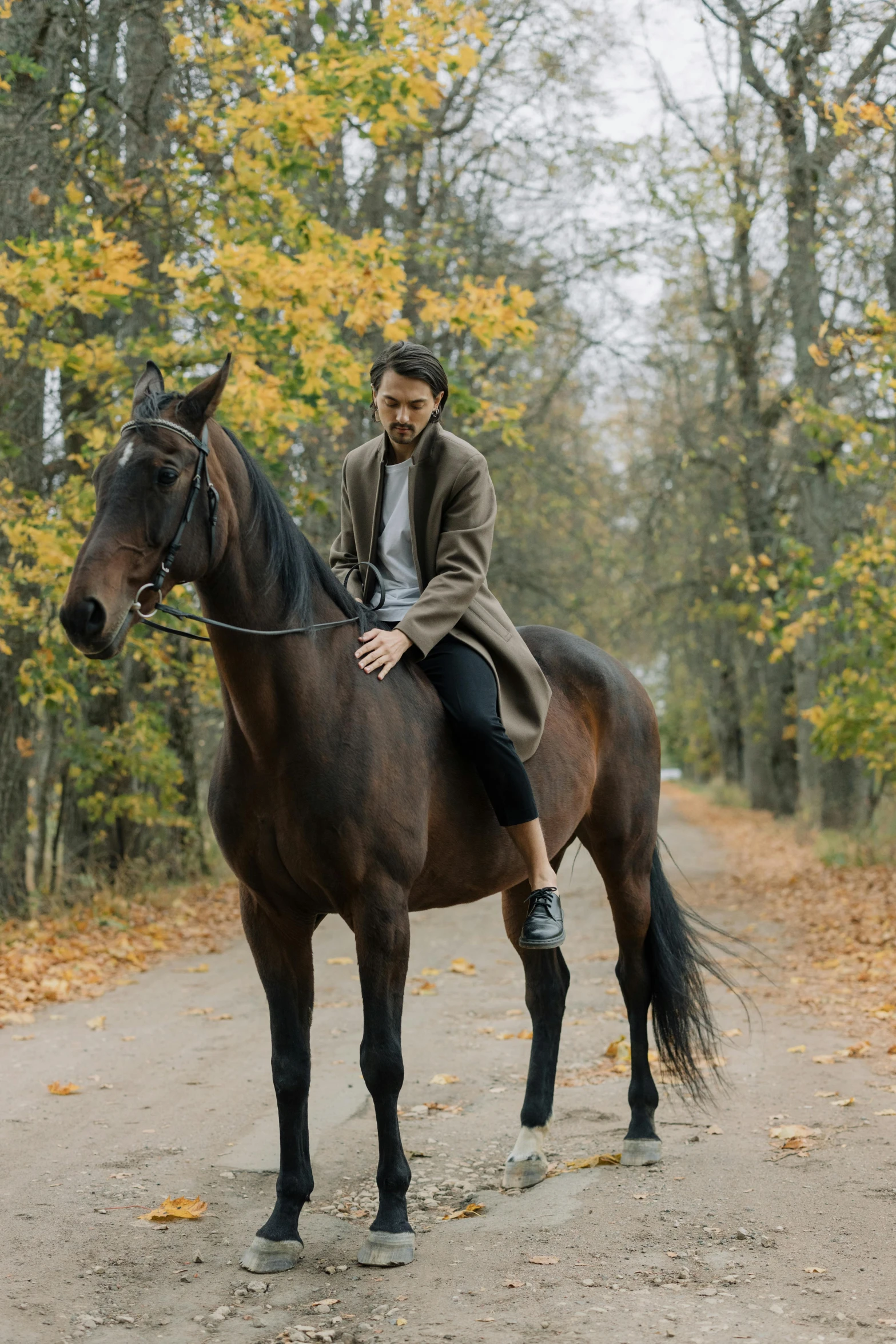 a man riding on the back of a brown horse