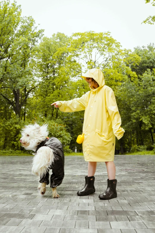 a person wearing a rain jacket with two dogs on leashes