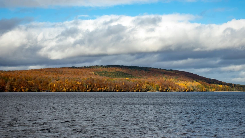 a body of water with trees on the hillside behind it