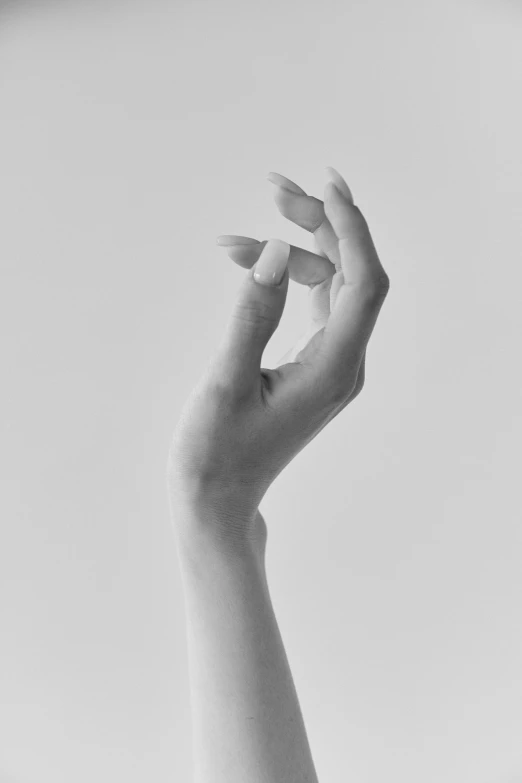 hand up against a clear, white background