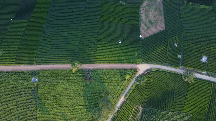 an aerial s of an orange road surrounded by crops