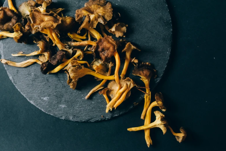 a plate of food with a very long pile of mushrooms on top