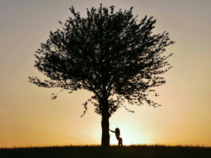 silhouette of person and child touching hands against tree