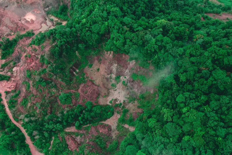 an aerial view of a group of trees on the side of a mountain