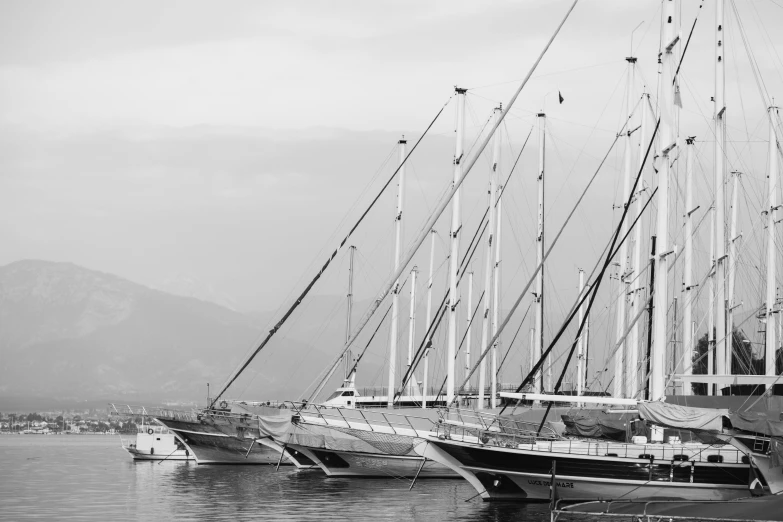 a group of boats are tied up next to each other