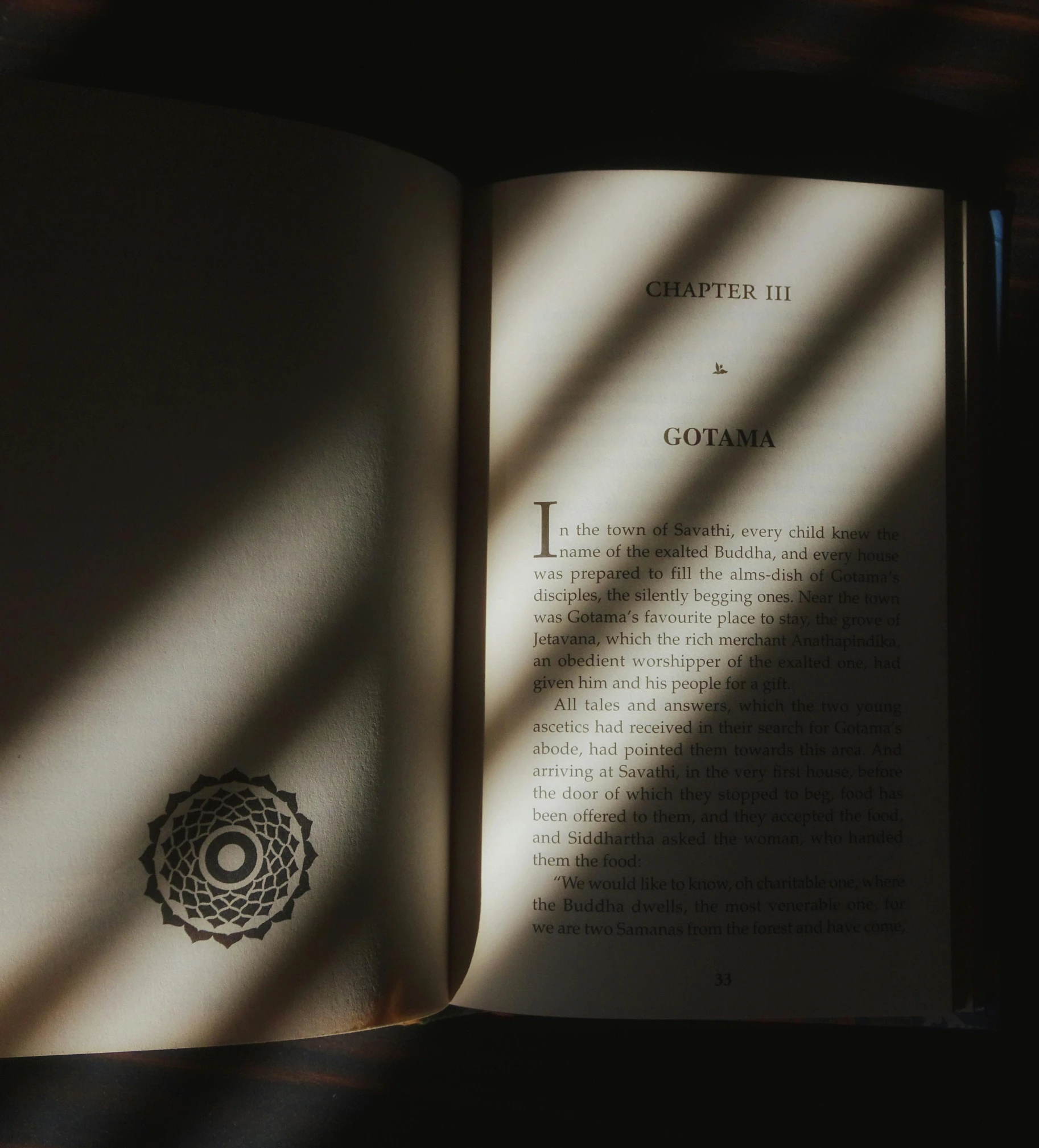 a book open to reveal the text and shadow of the light coming through