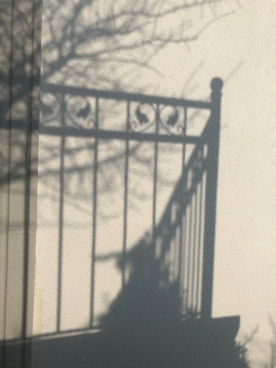 a gate and the shadow of a tree