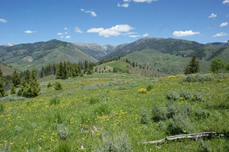 a beautiful view of some mountains from a field