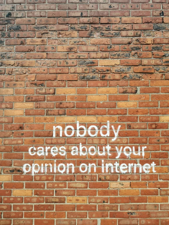 the words nobody cares about your opinion on internet are displayed on a wall