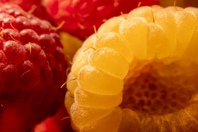 a closeup image of a close - up of fresh fruits