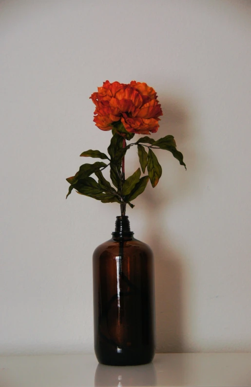 a large orange flower sitting in a black vase
