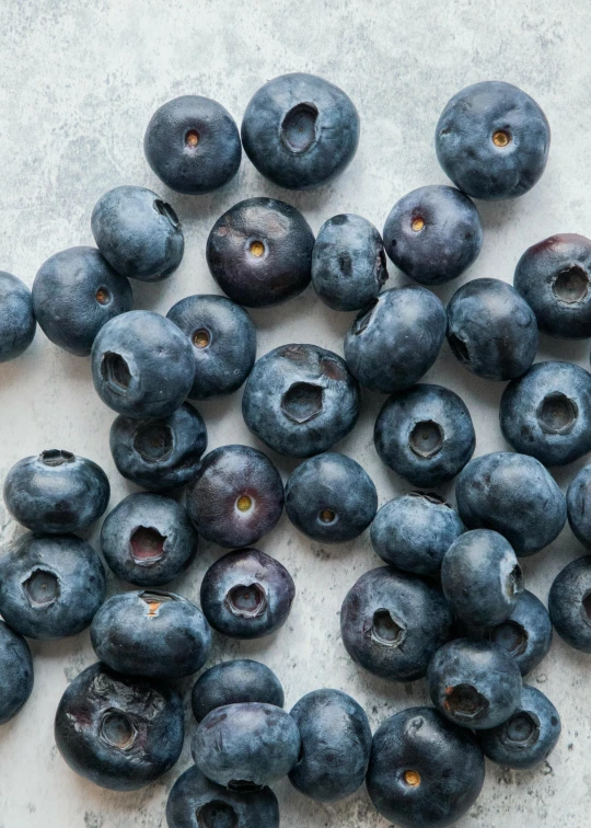 the whole blueberry is laying out on the ground