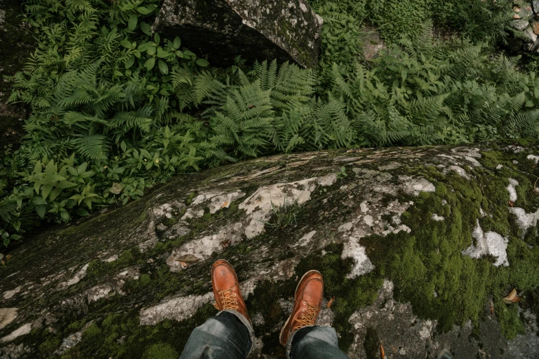 a pair of shoes that are sitting on a mossy rock