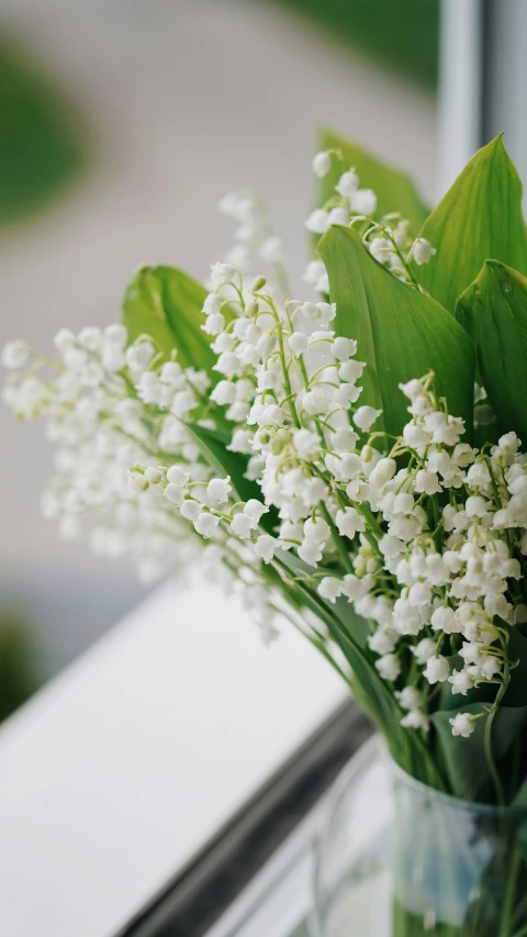 a bunch of flowers sitting on a table