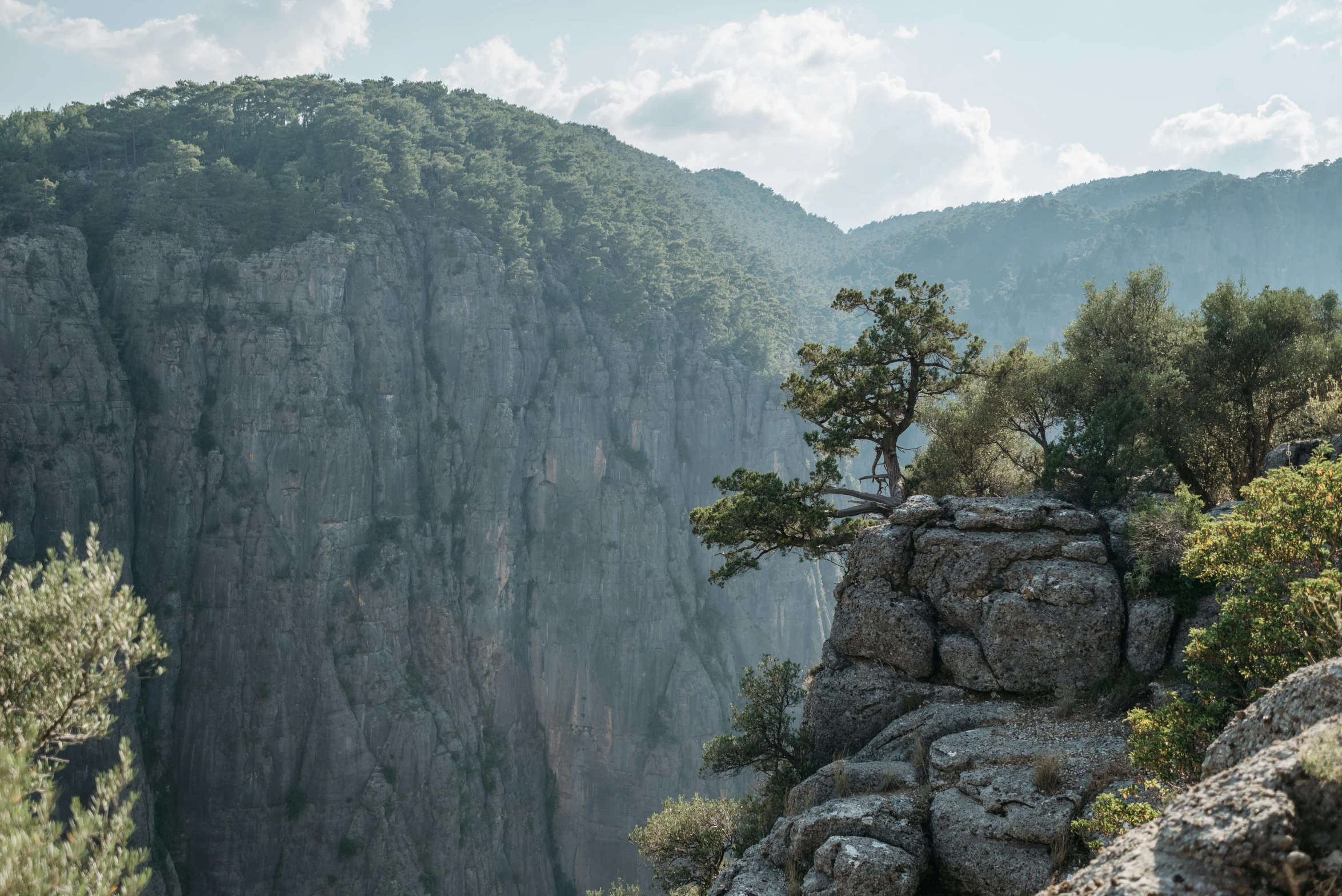 a rock outcropping with a pine tree on top