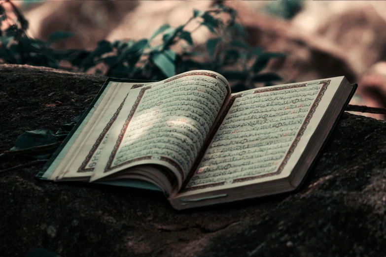 an open book on the ground, laying down