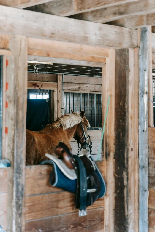 a brown horse standing in an enclosed area