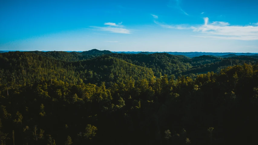 a scenic po with trees in the middle and blue sky