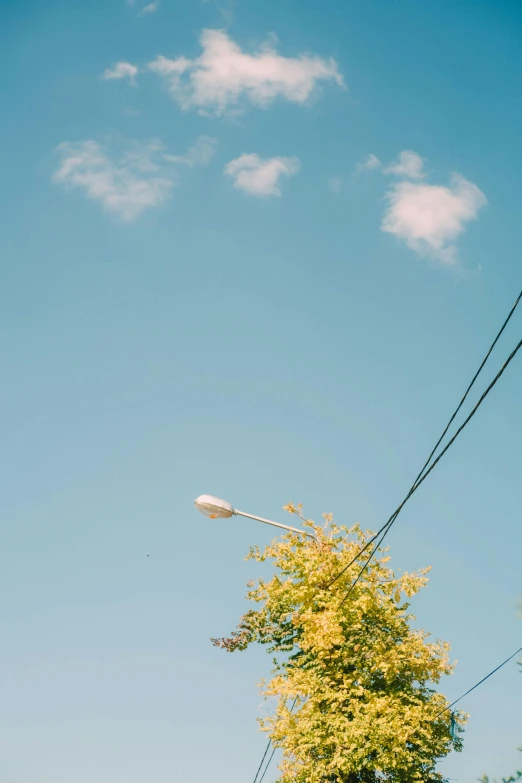 a streetlight in front of a blue sky with white clouds