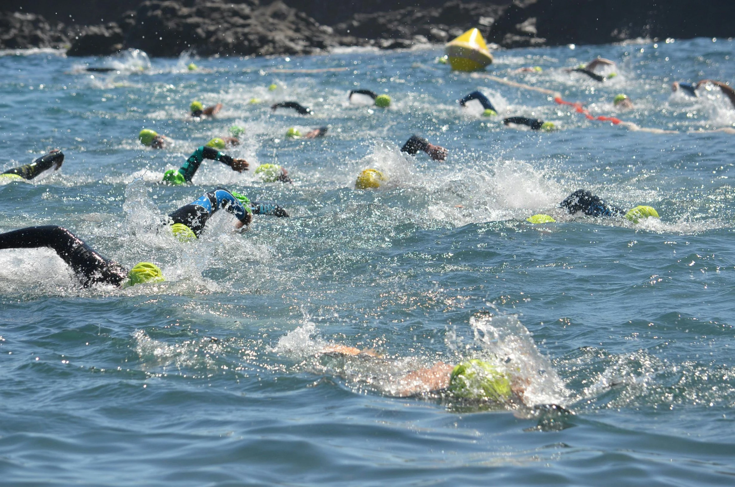 some swimmers are swimming in the water