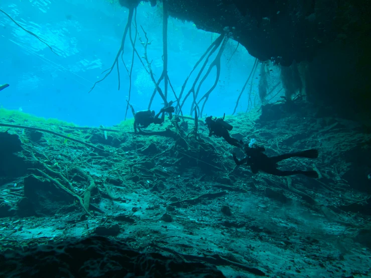 three scubas swim through a green, underwater cave