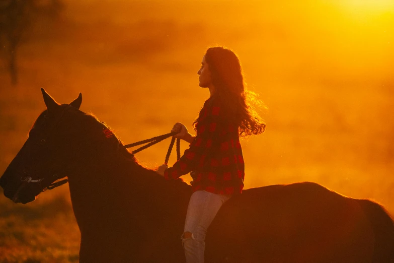 a woman in plaid shirt riding on the back of a black horse