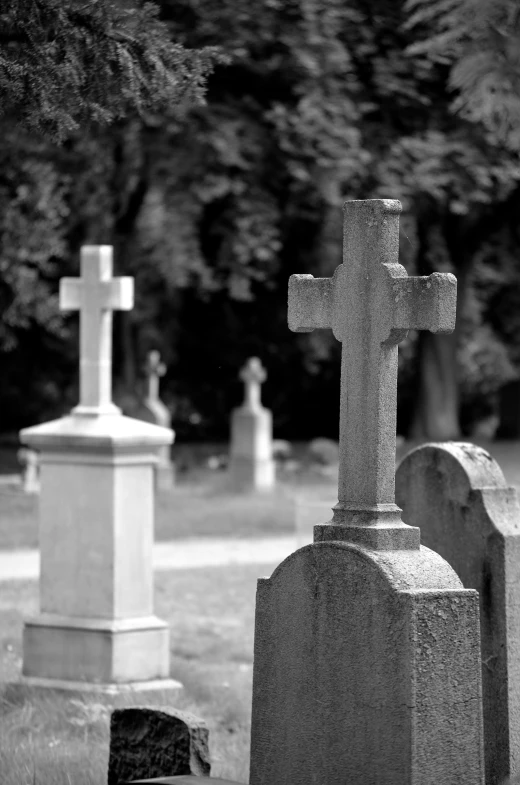 black and white pograph of cemetery with crosses