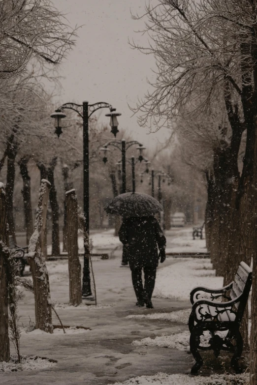 a person walking down a street with an umbrella