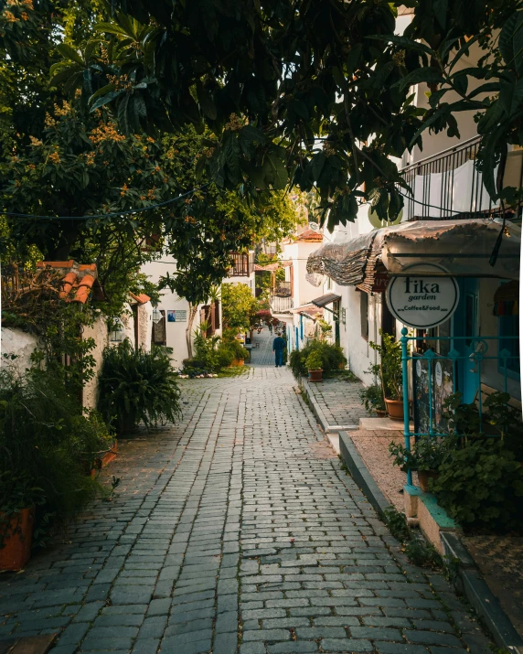 an empty brick road surrounded by trees and plants