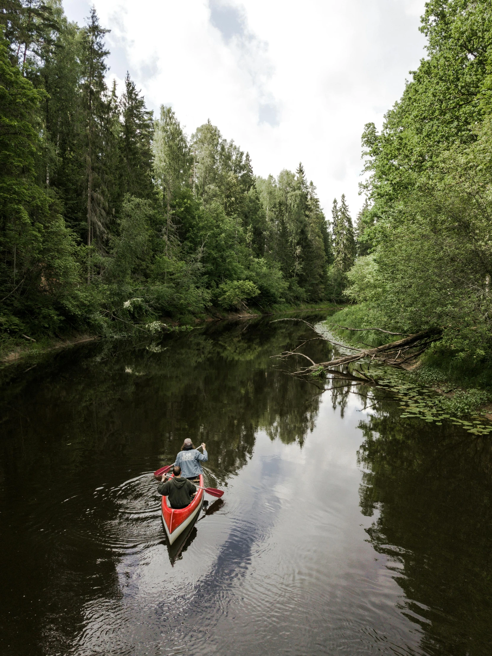 two canoes are on the river by some trees