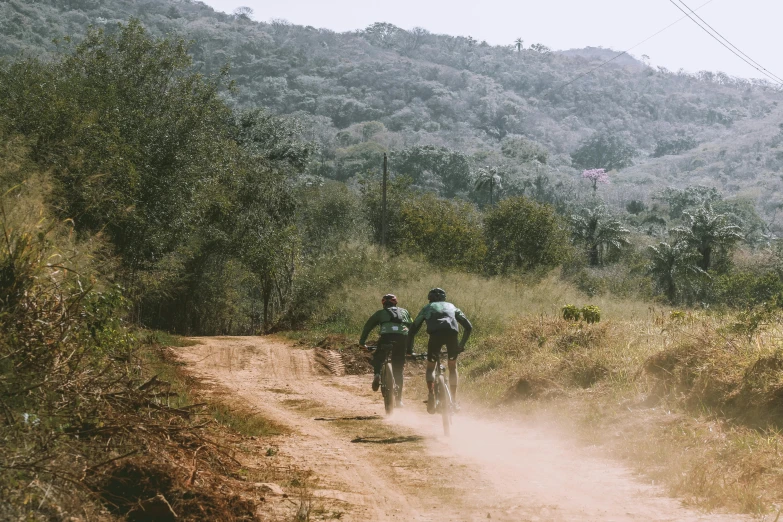 two bikers riding on the side of a road in a wooded area