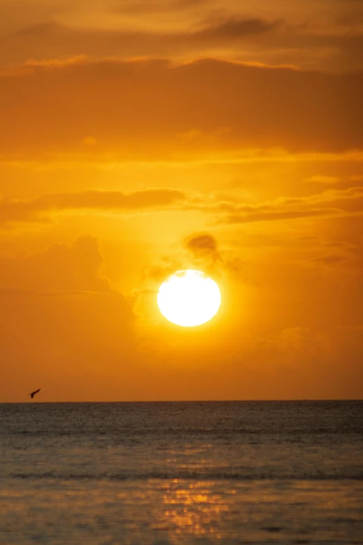 a person surfboard under the sun in the water