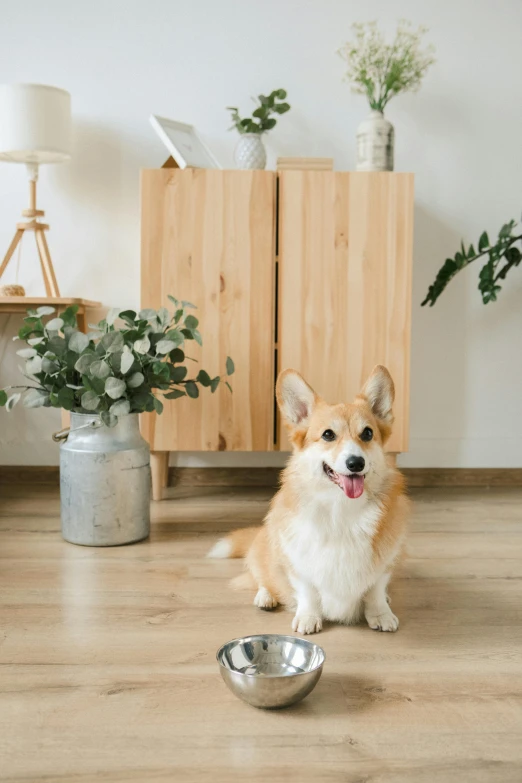 a small dog sitting next to a stainless steel bowl